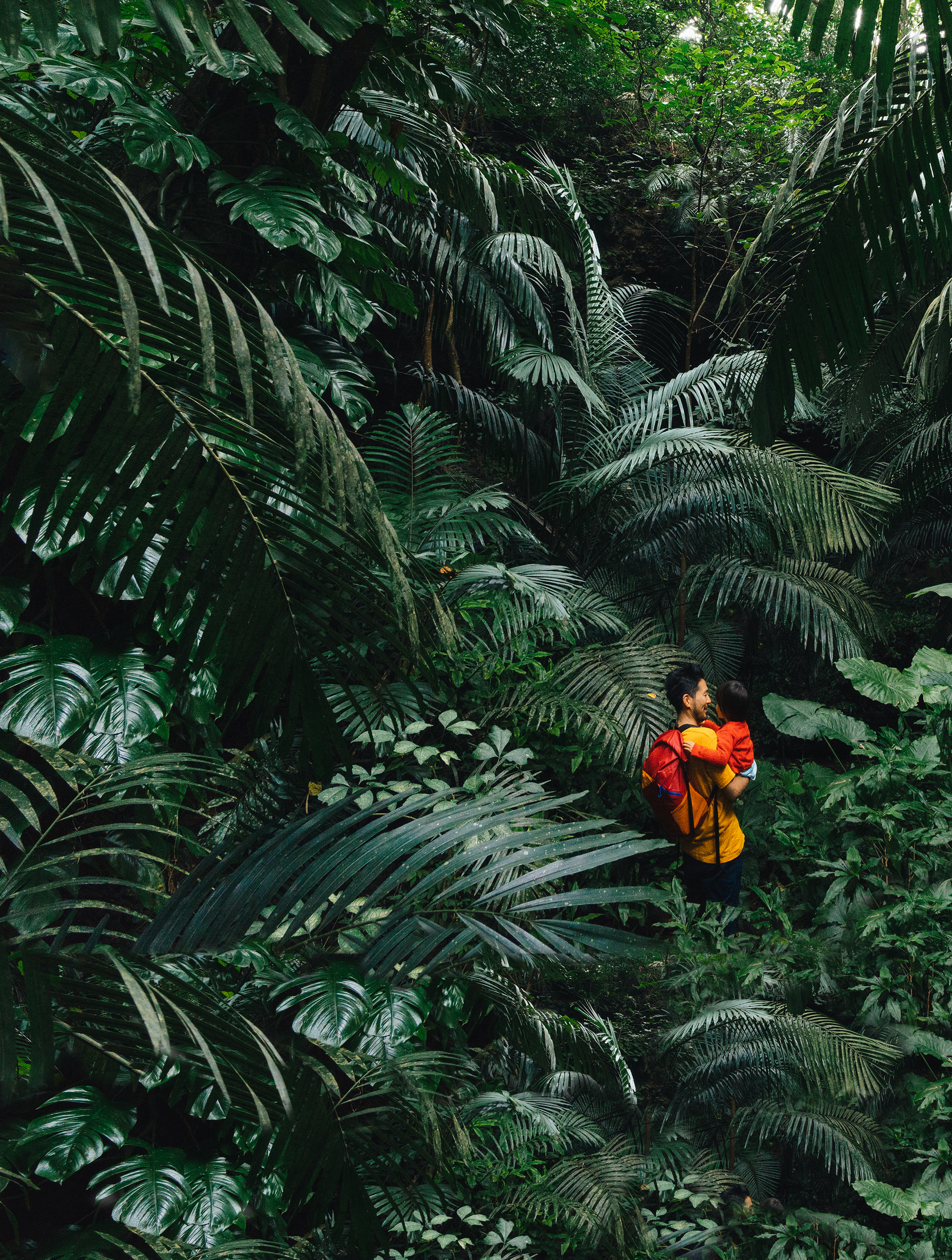 father and child in forest