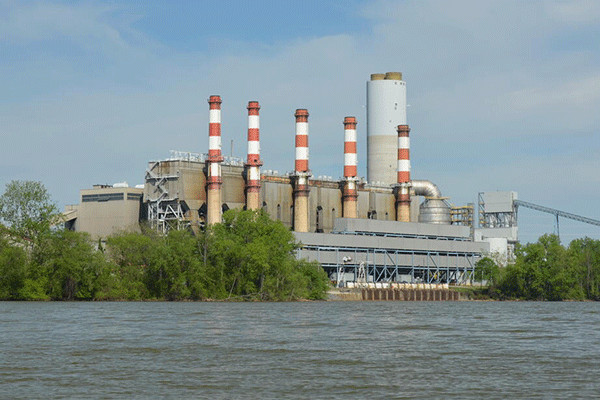 [insert description]