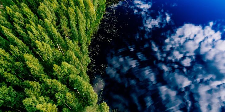 Clouds reflecting in a bright blue lake with a forested shoreline
